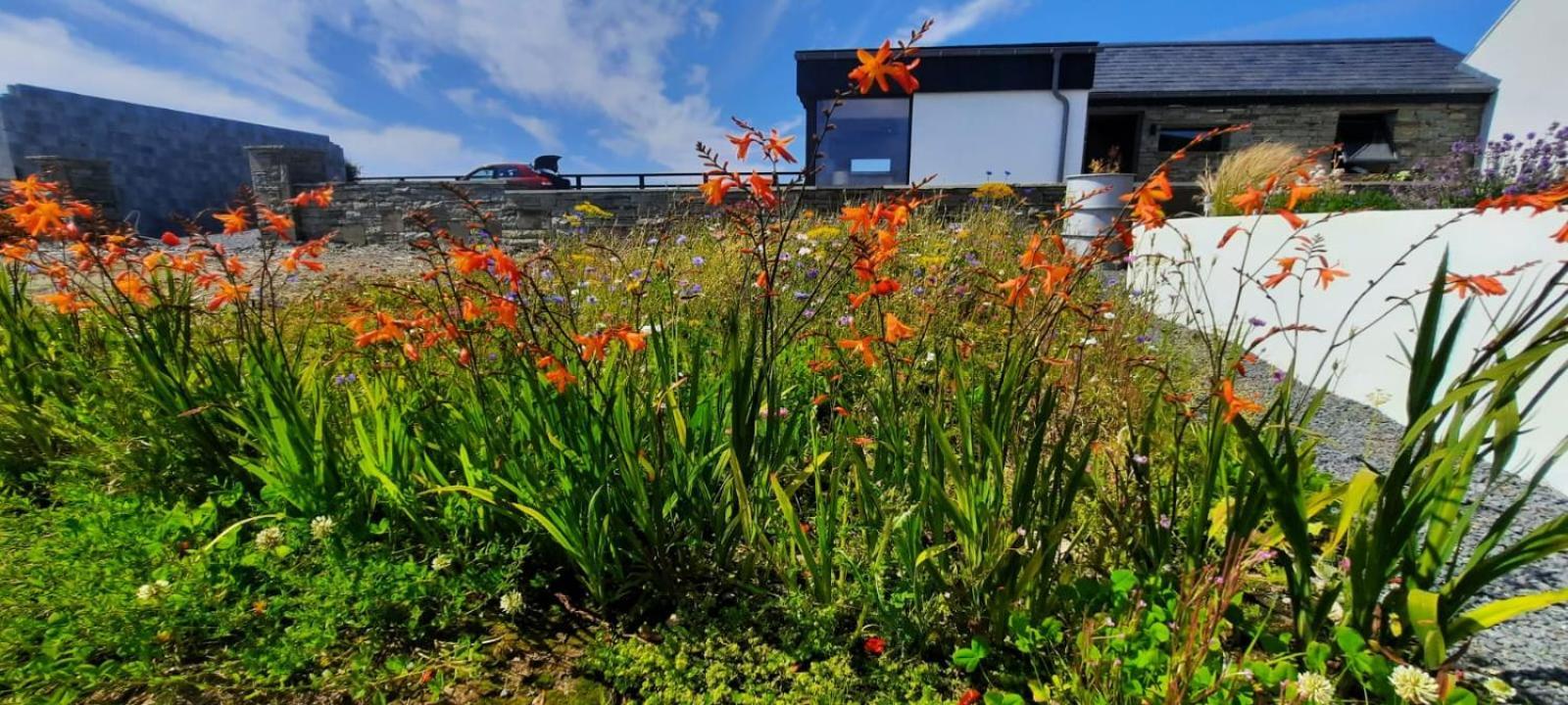 Rose Meadow Lodge Liscannor Exterior foto